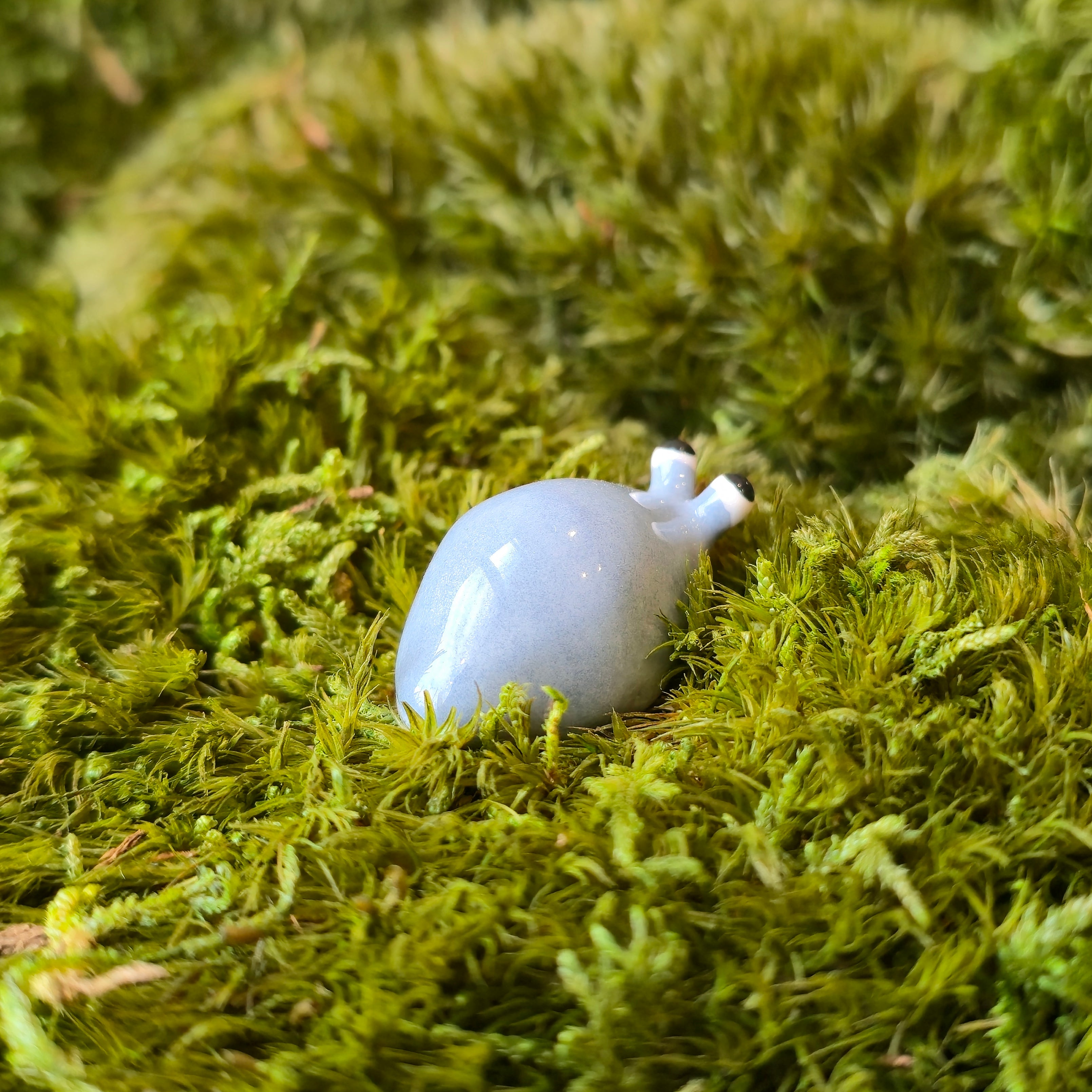 Pellet