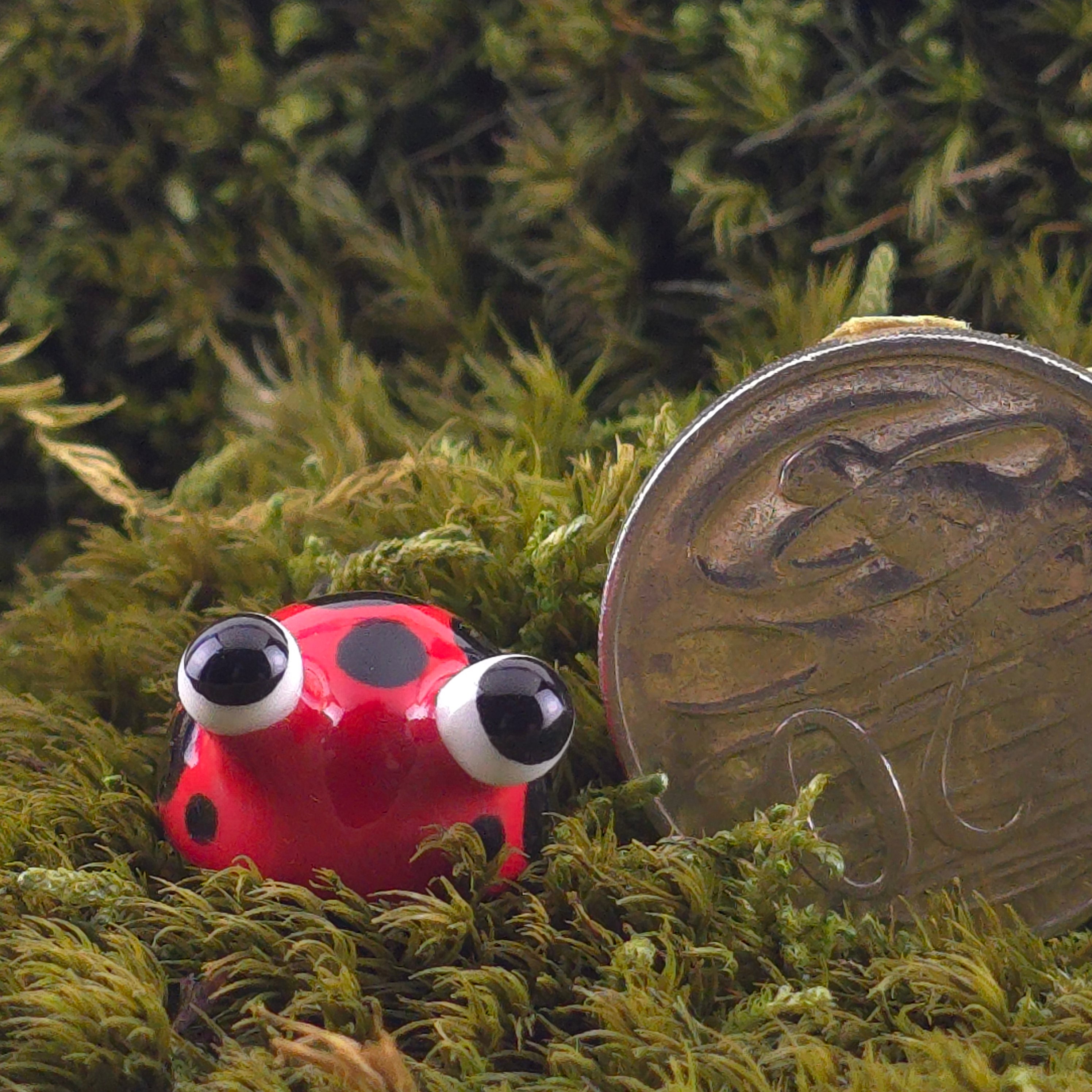 Ceramic Slug: Bug