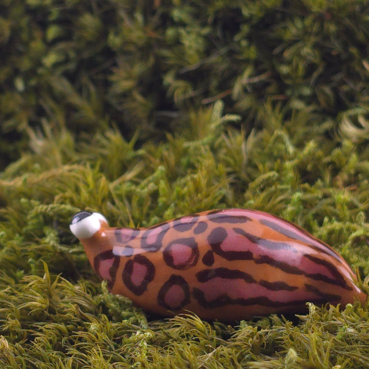 Ceramic Slug: Leo