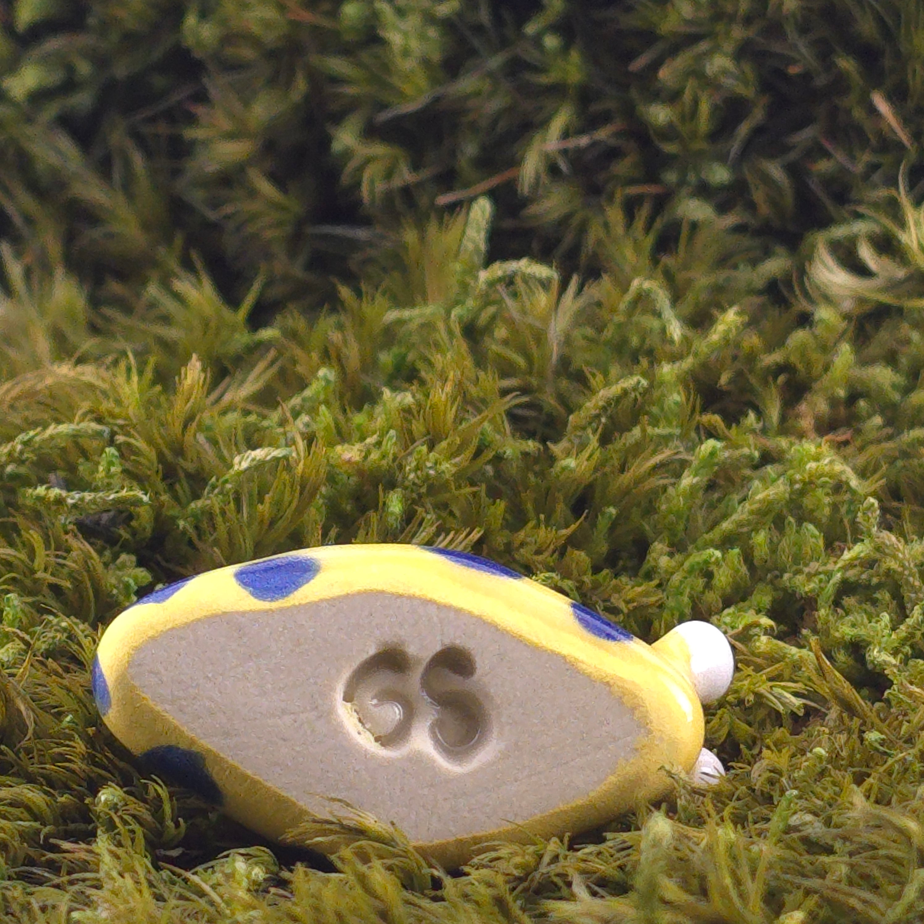 Ceramic Slug: Nibble