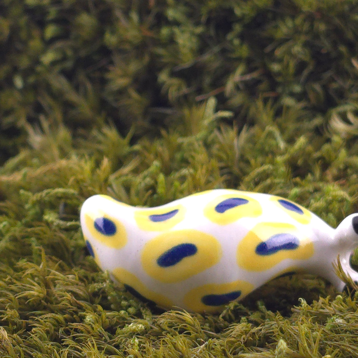 Ceramic Slug: Nixie