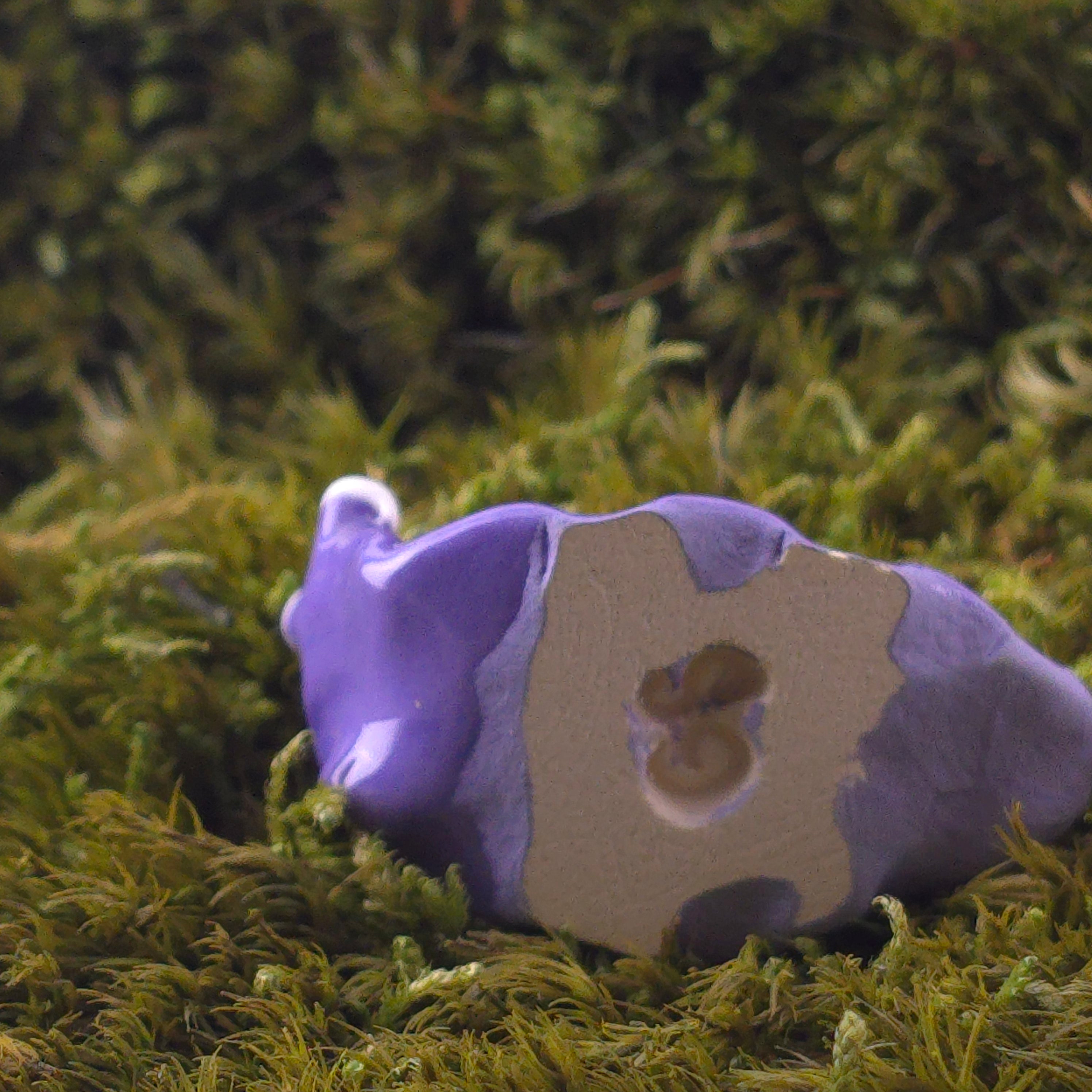 Ceramic Slug: Nudie
