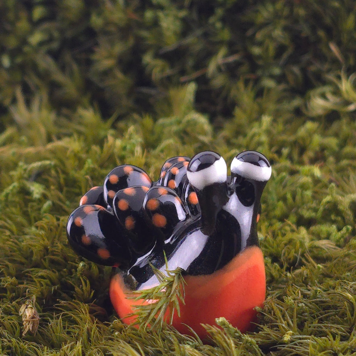 Ceramic Slug: Saps