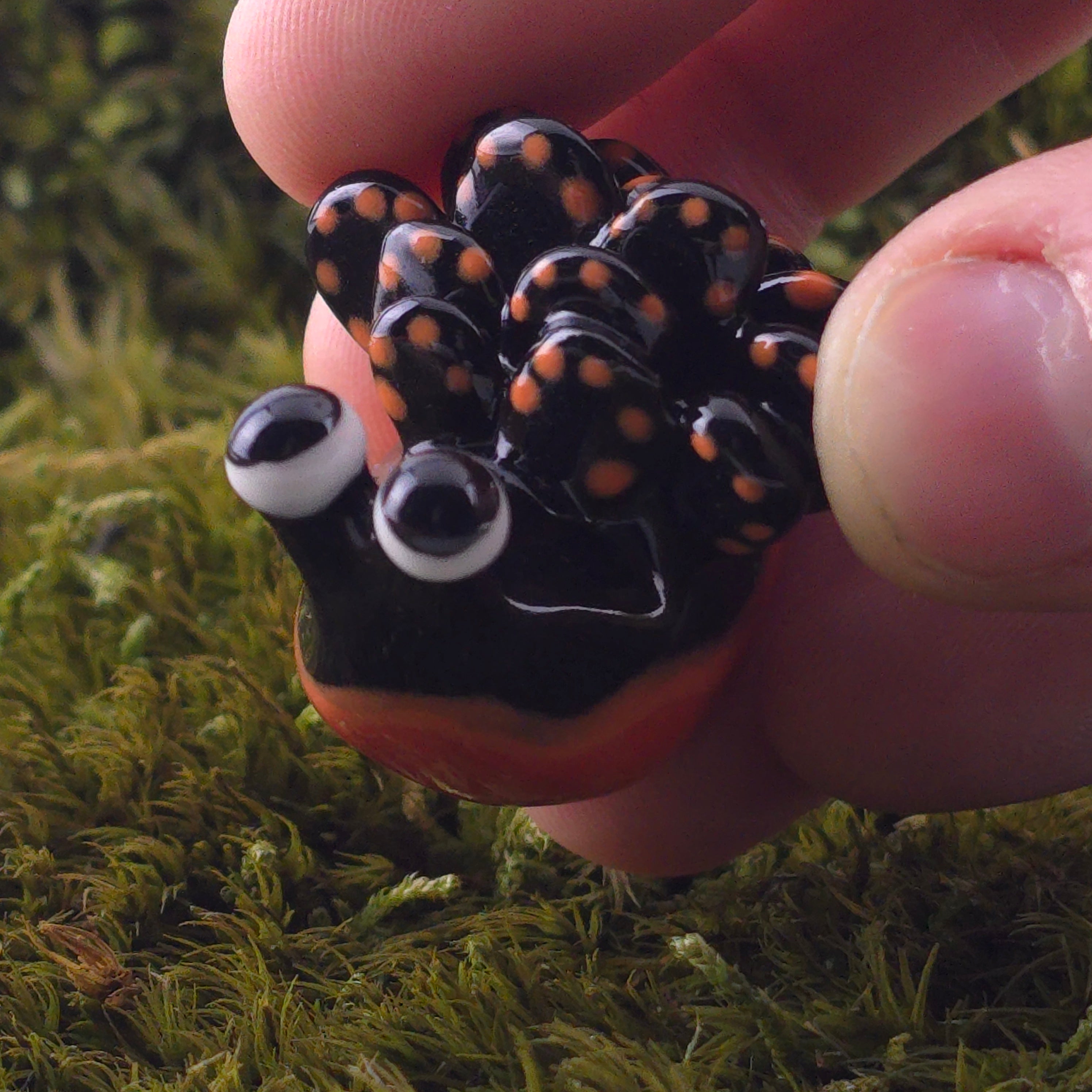 Ceramic Slug: Saps