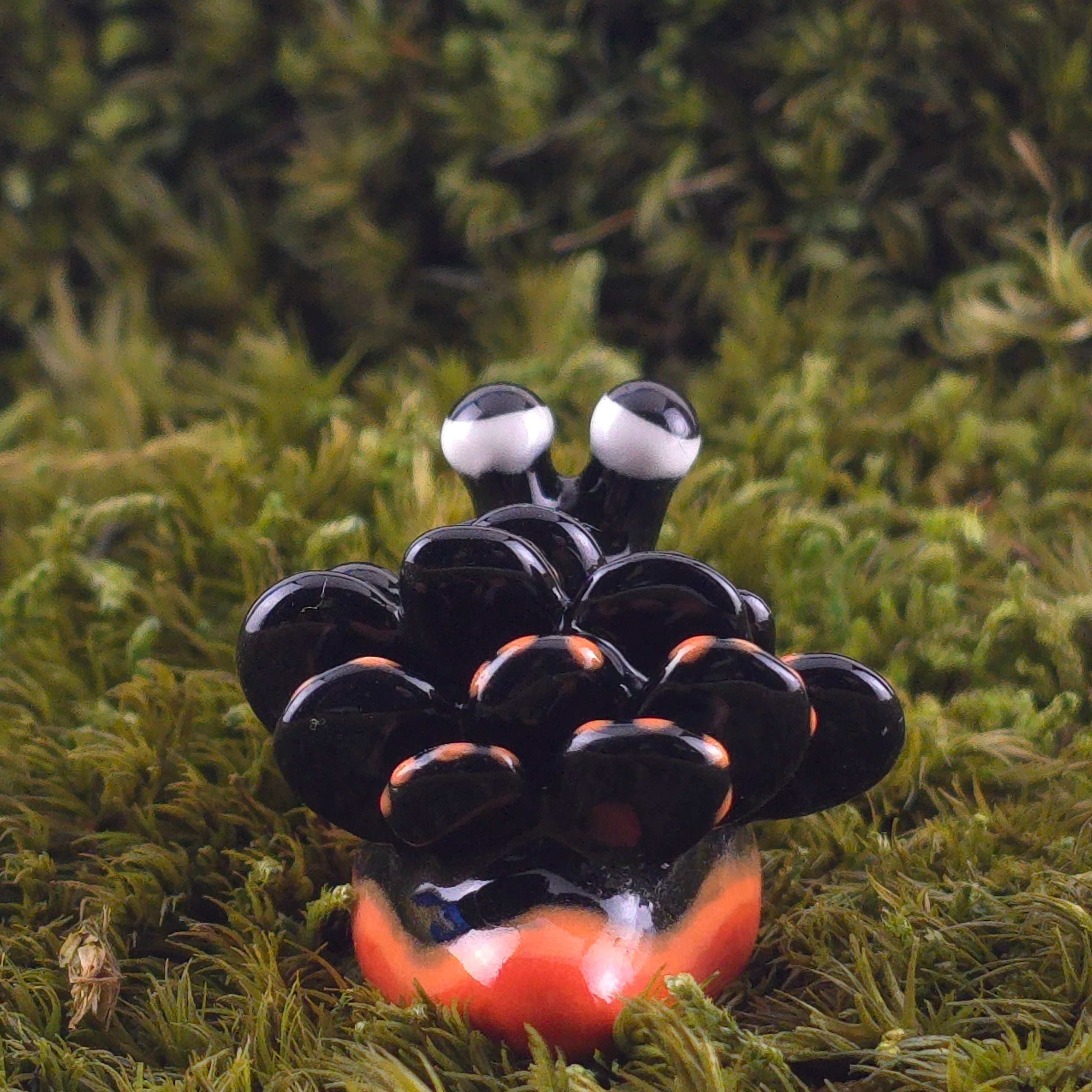 Ceramic Slug: Saps
