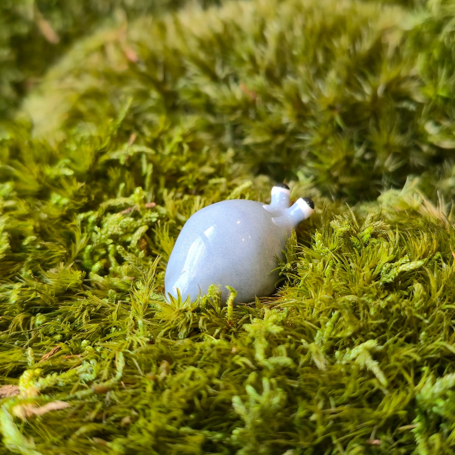 Pellet