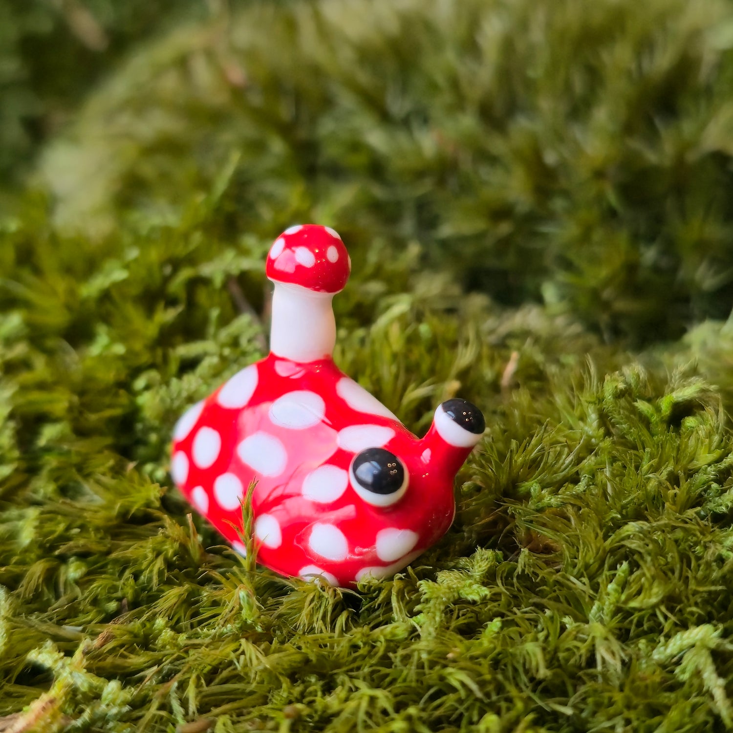 Wigbee
