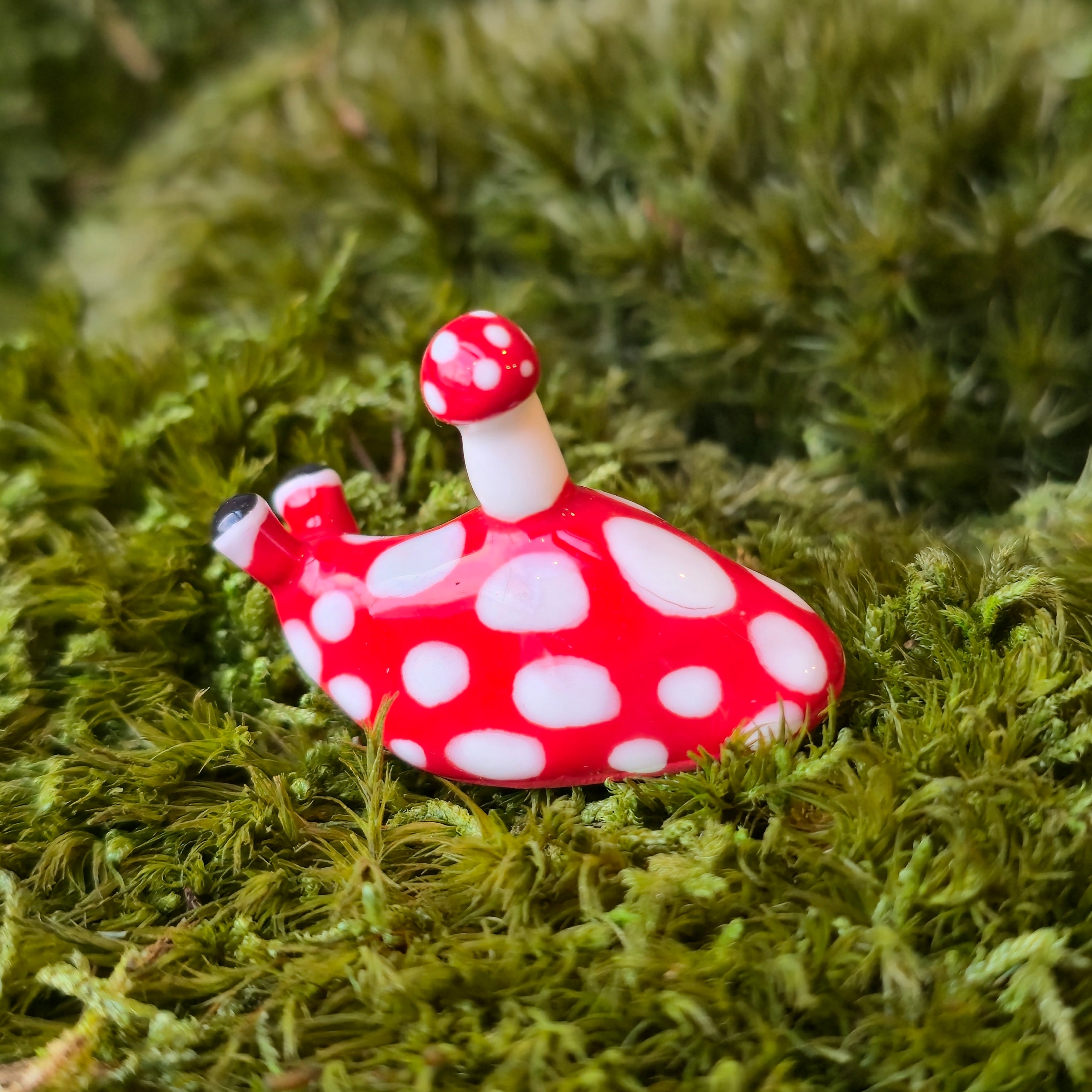 Wigbee