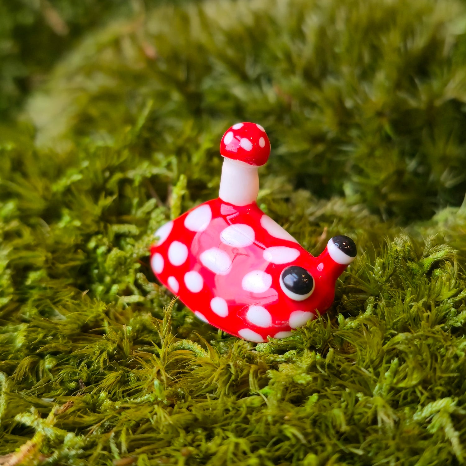 Wigbee