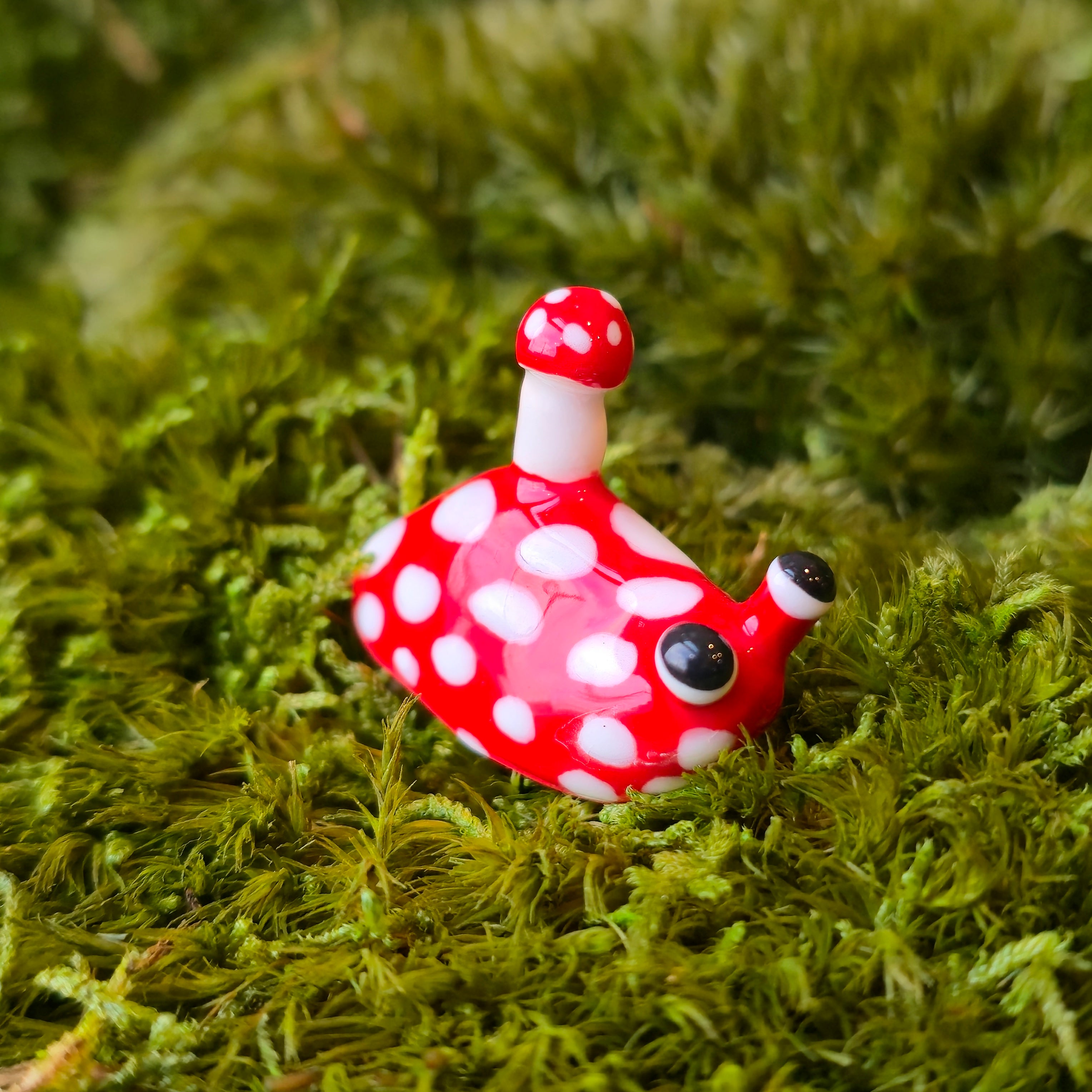 Wigbee