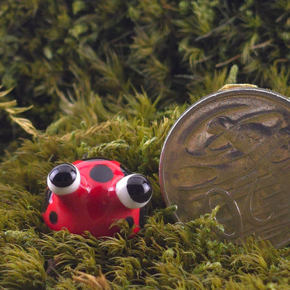 Ceramic Slug: Bug
