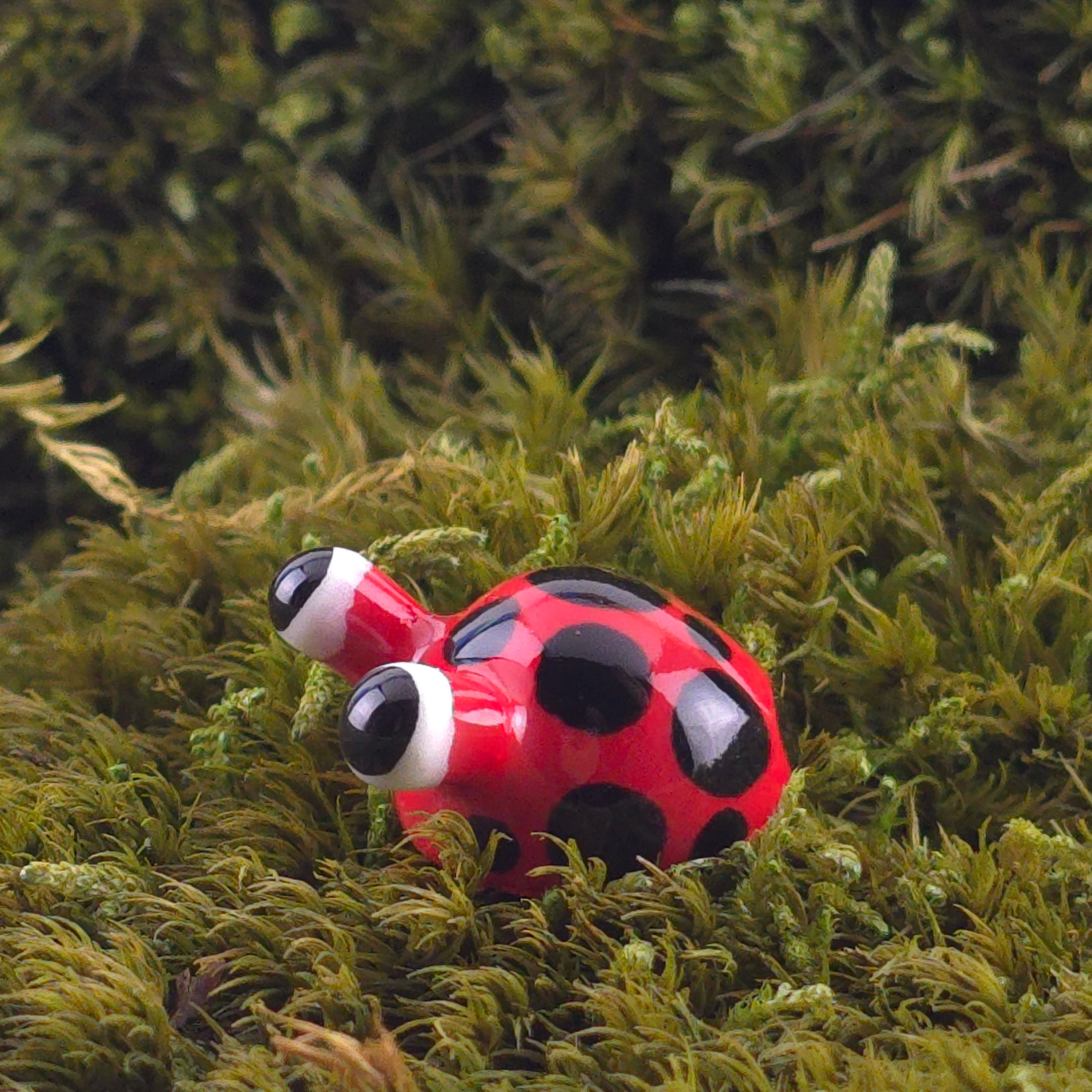 Ceramic Slug: Bug
