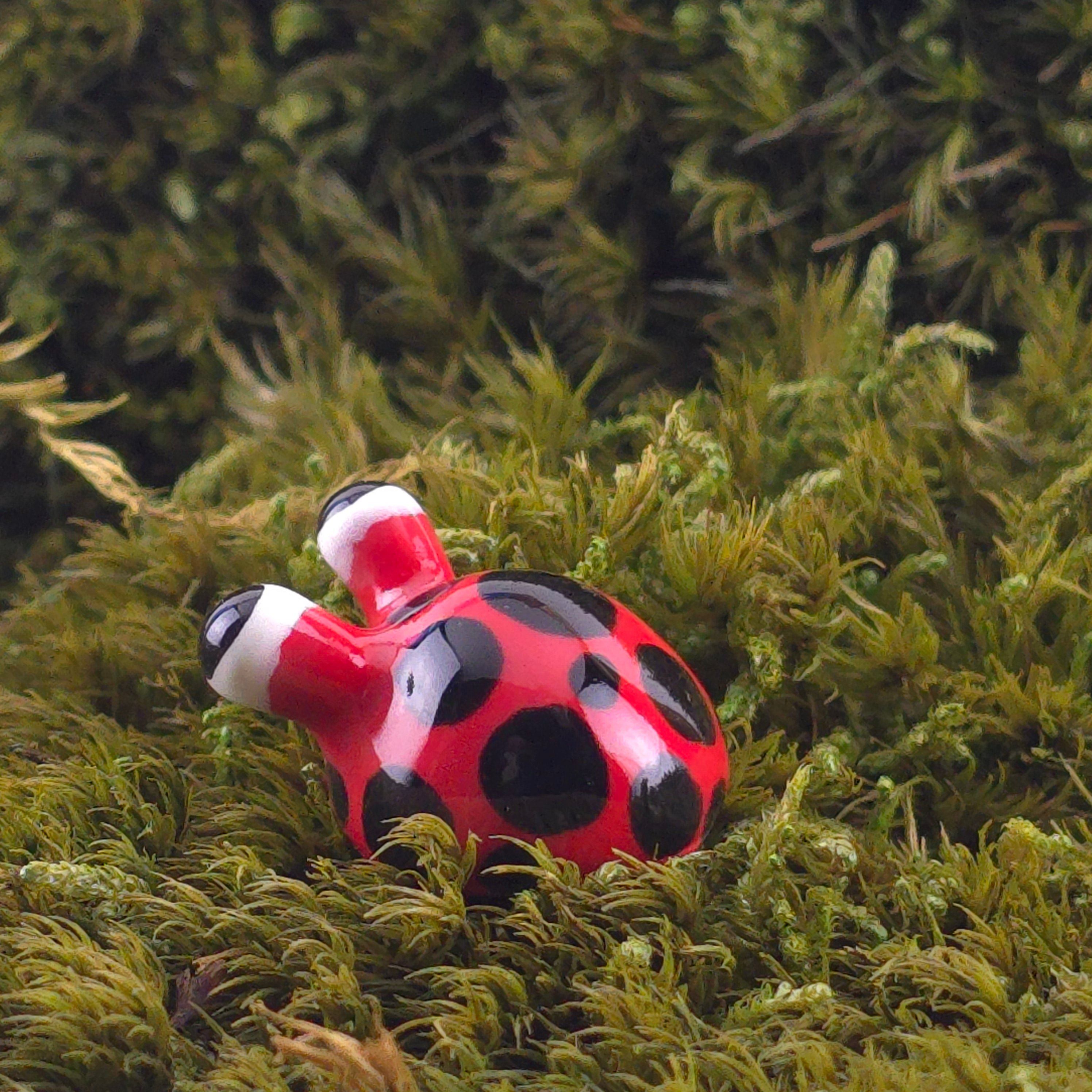 Ceramic Slug: Bug