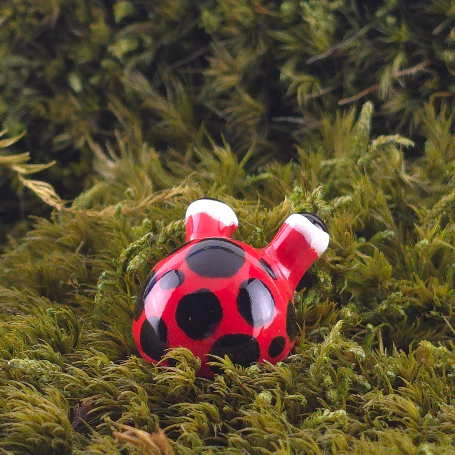 Ceramic Slug: Bug