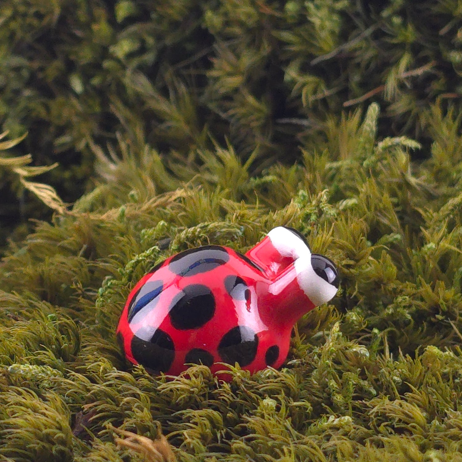 Ceramic Slug: Bug