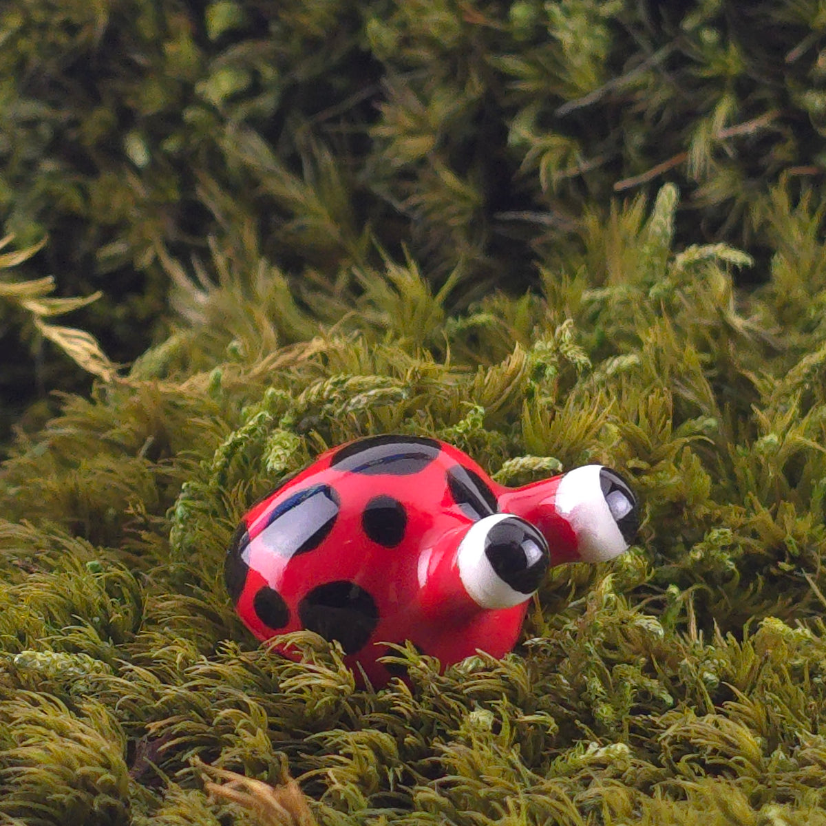 Ceramic Slug: Bug