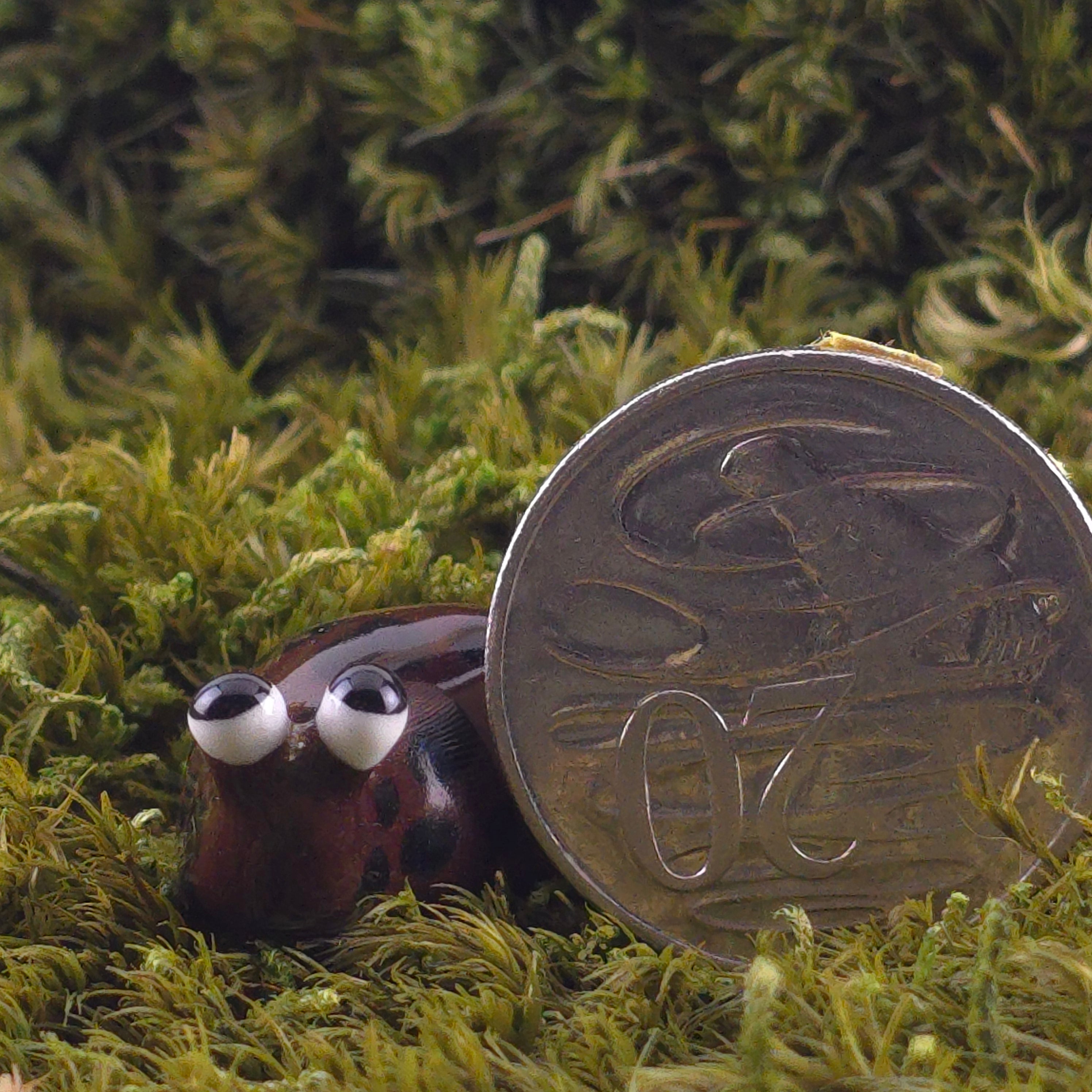 Ceramic Slug: Chet