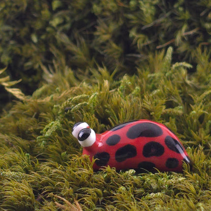 Ceramic Slug: Diggie