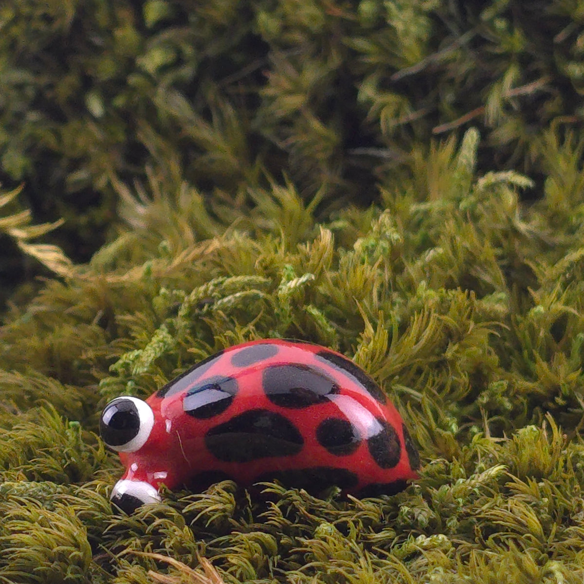 Ceramic Slug: Diggie