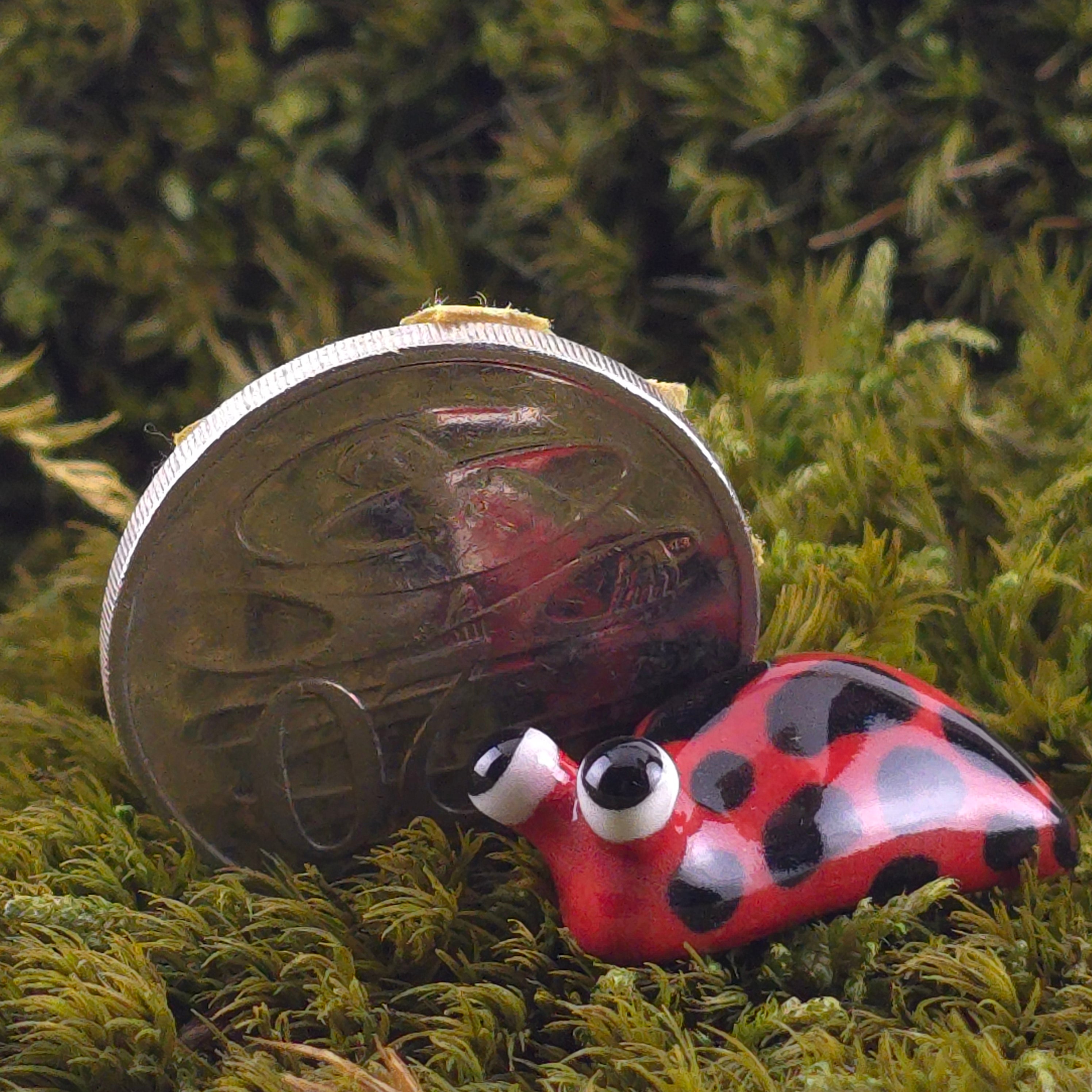 Ceramic Slug: Diggie