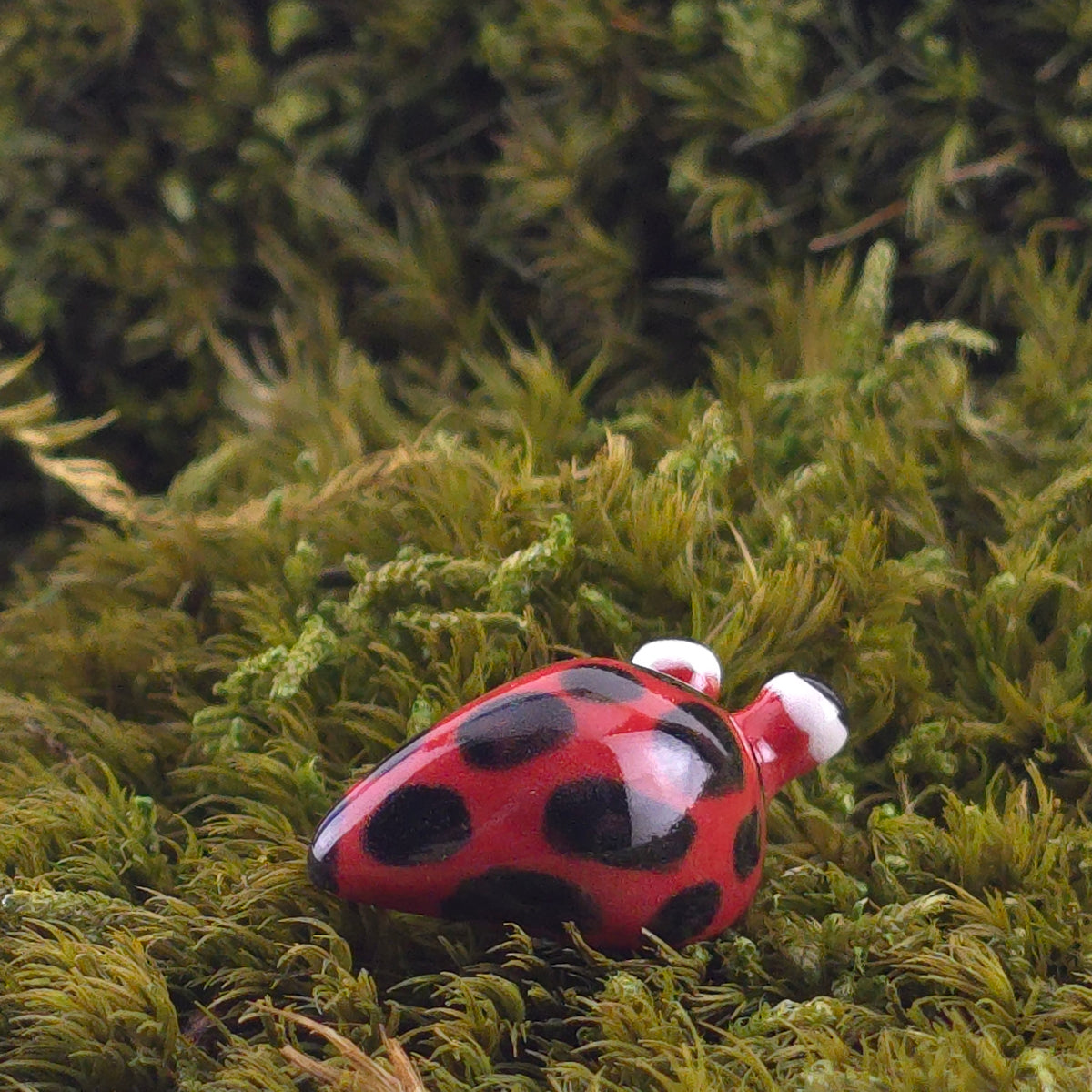 Ceramic Slug: Diggie