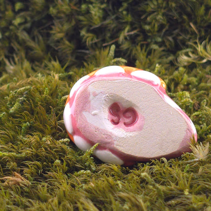 Ceramic Slug: Gully