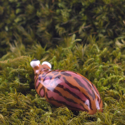 Ceramic Slug: Leo