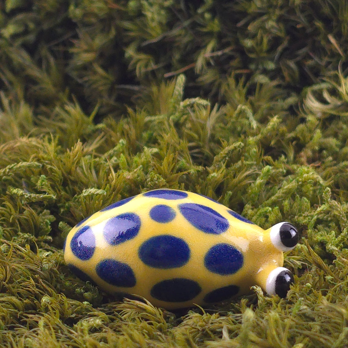 Ceramic Slug: Nibble