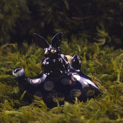 Ceramic Slug: Nocturne