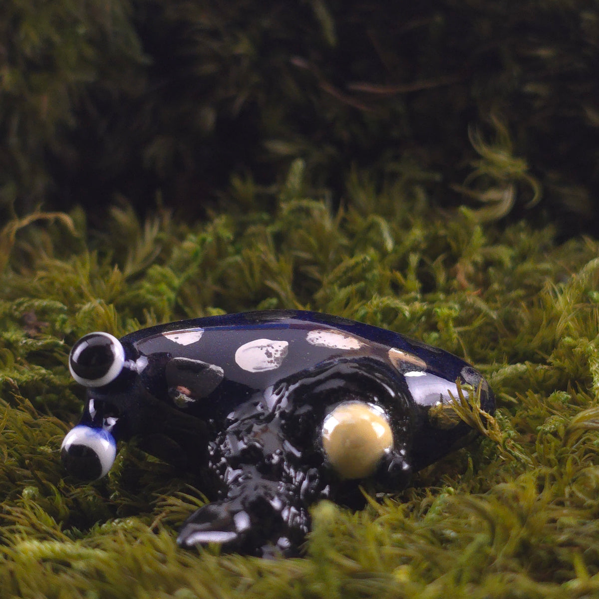 Ceramic Slug: Nocturne