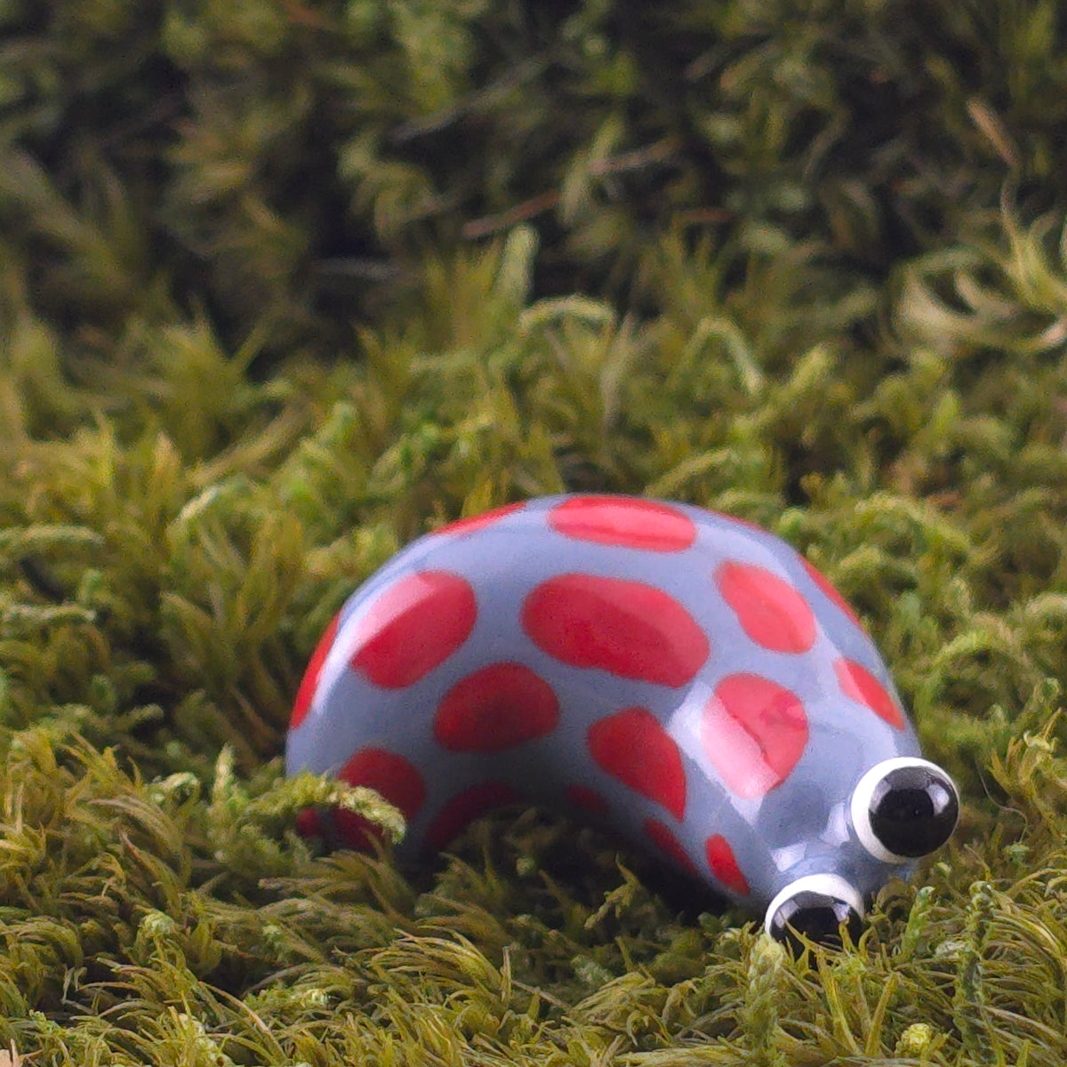 Ceramic Slug: Slowly
