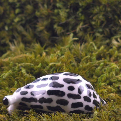 Ceramic Slug: Sloughlas