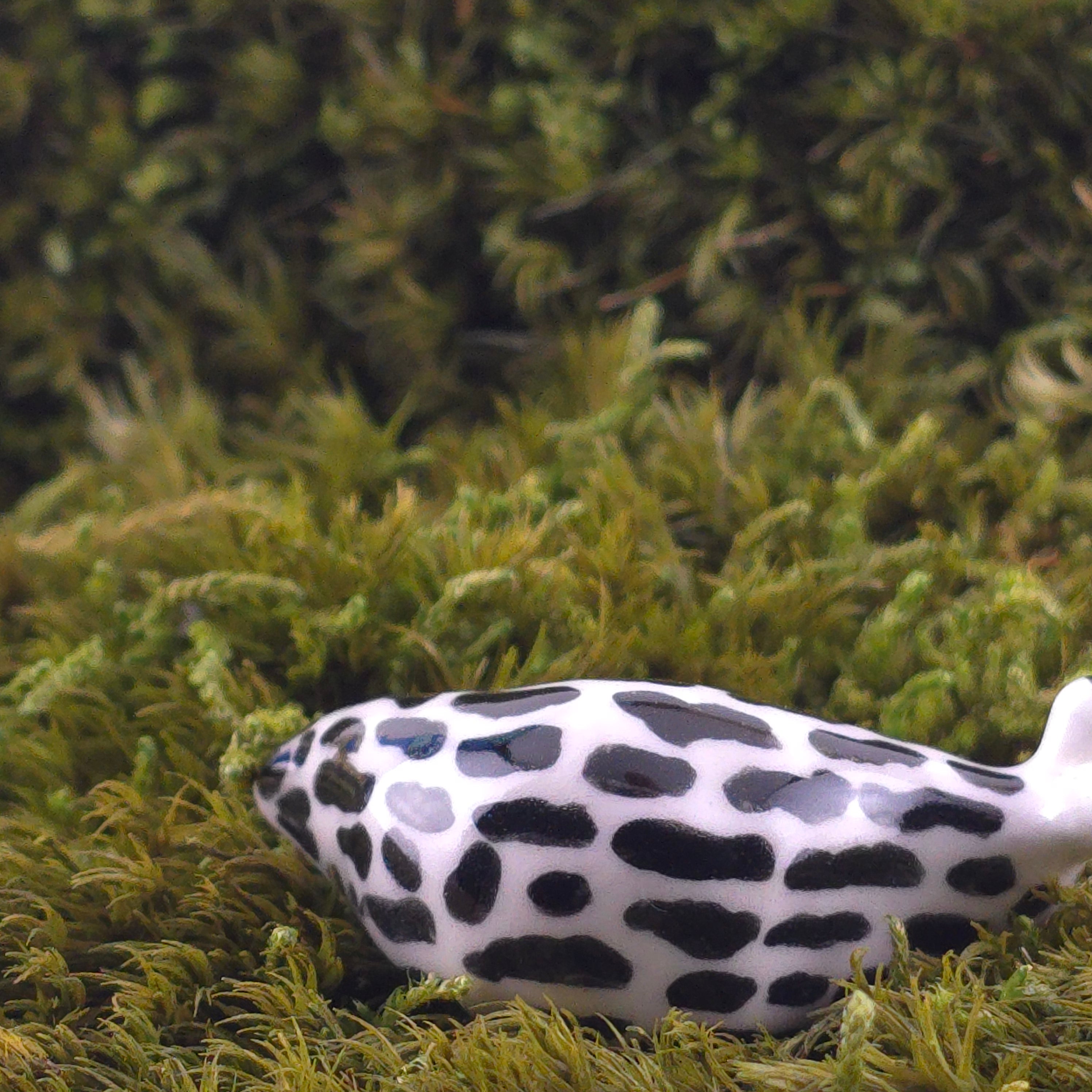 Ceramic Slug: Sloughlas