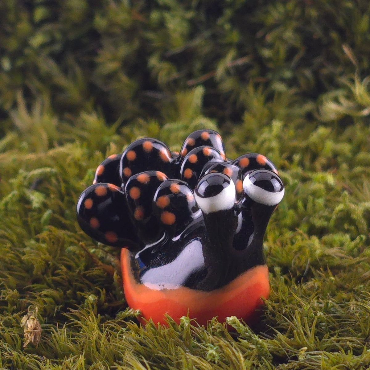 Ceramic Slug: Saps