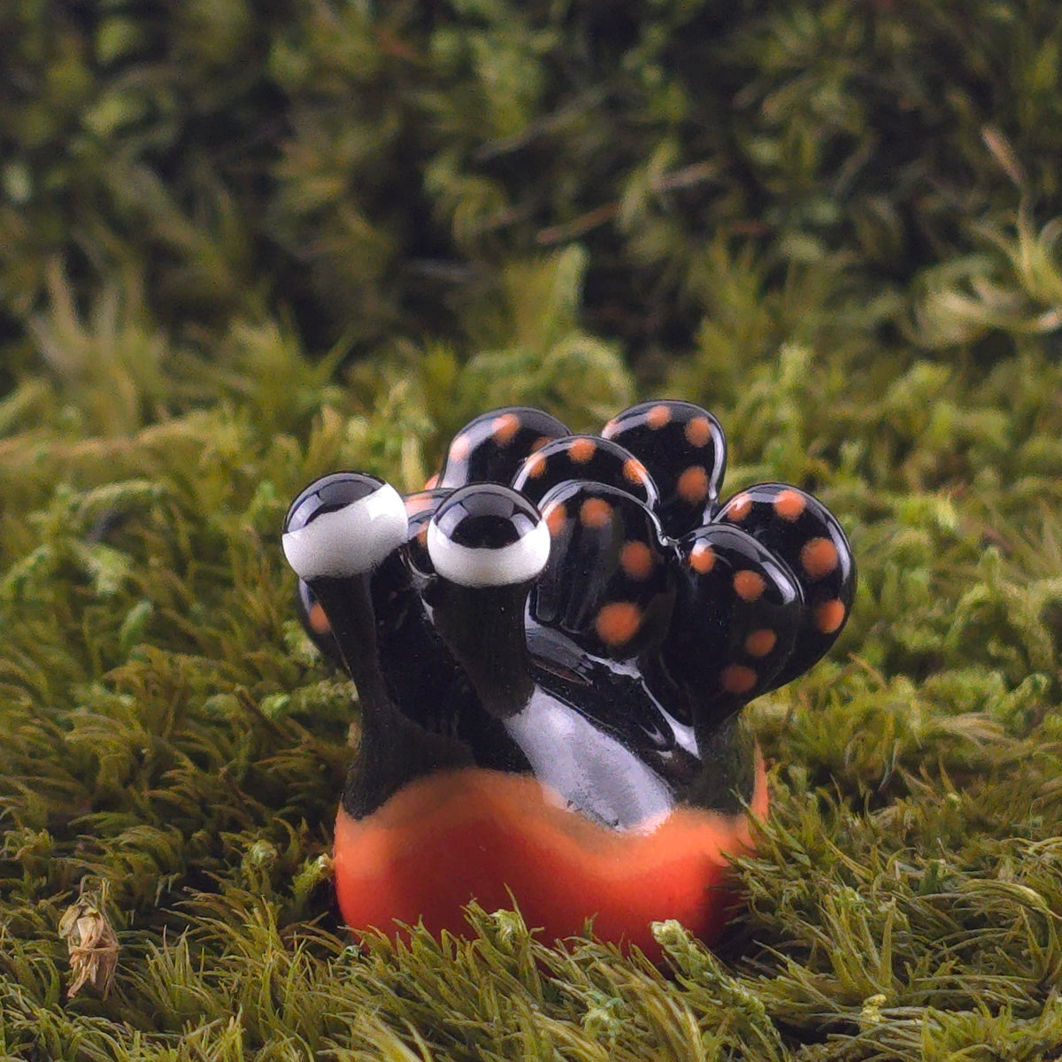 Ceramic Slug: Saps